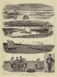 Cultura de ostras en Arcachon